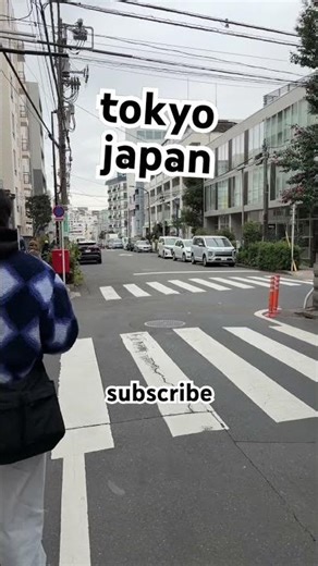 December in Japan: The Winter Wonderland You Never Knew About