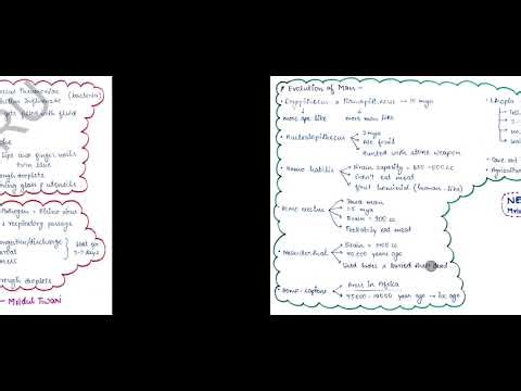 Class 12th biology short notes