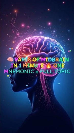 Parts of Midbrain Made Easy | CP Trick | Human Brain NEET