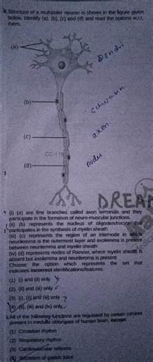 Structure of a multipolar neuron is shown in the figure given b... | Filo