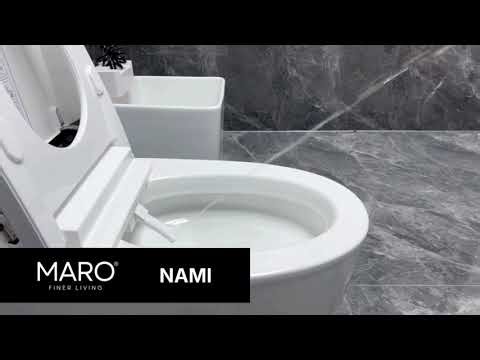 NAMI Japanese Smart Bidet Toilet with Built-In Flush Tank