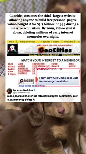 Why Yahoo Deleted The Internet's Biggest Community... 🤯 #memes #funny #pets