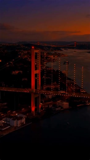 lyric videos #creatorsearchinsights #lyrics_songs #nostalgic #schooltrip #viral