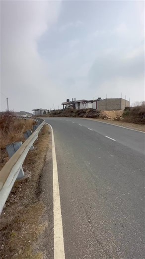 330K views · 11K reactions | I encountered two wolves on day 374 of my walk around the world!  #trekkingindia #meghalaya #india #wolf #hiking | Alexander Campbell | Facebook