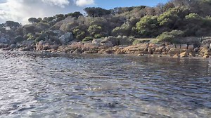 35K views · 137 reactions | Tailing salmon anyone ? Cheynes Beach Caravan Park | Western Angler Magazine | Facebook
