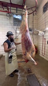 “Rail Weight” explained. Expect around 60% of the rail weight as your take home. #beef #cow #butcher #processing #educational #sideofbeef #professional #beardedbutcher #meat #meatlover #fyp #viral | Lily Russell