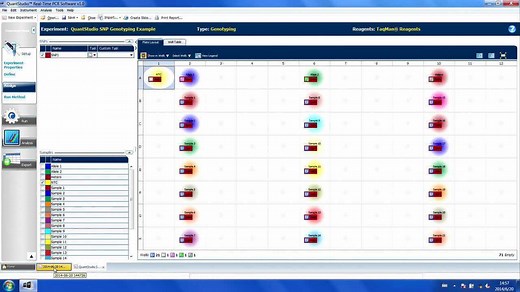 Quantstudio系列软件使用讲解-基因分型