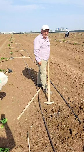 Planting Techniques in Agriculture: A Hands-On Guide