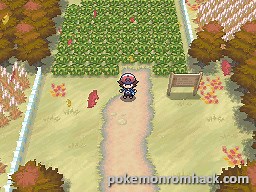 Pokemon Blaze Black Download, Informations & Media - Pokemon NDS ROM Hacks