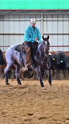 Champion of the $𝟮𝟱,𝟬𝟬𝟬 𝗡𝗛 today was Cass Tatum & Metabella (owned by: Glenda L Wilson), marking a 74 and earning a check for $1,473! 🎥: To watch the livestream and see live scoring updates visit www.chclivescoring.com (Videos are available for purchase) “𝙏𝙖𝙠𝙞𝙣𝙜 𝘾𝙪𝙩𝙩𝙞𝙣𝙜𝙨 𝙩𝙤 𝙩𝙝𝙚 𝘾𝙖𝙩𝙩𝙡𝙚” 📸: To purchase photos and reels visit: www.ecoffeenphotography.com @wes_arena_ #outbackcuttings #takingcuttingstothecattle #wesarena #texas #cuttinghorses #horseshow #2m 🎥: @emil