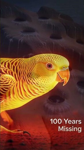 Animals Scientists Declared Extinct — Until Cameras Proved Them Alive | Wildverse tv