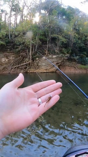 🧊Fishing Must Have🎣 #jesus #godisgood #reels #fishing #fish #trout #icefishing | Nrv Outdoors