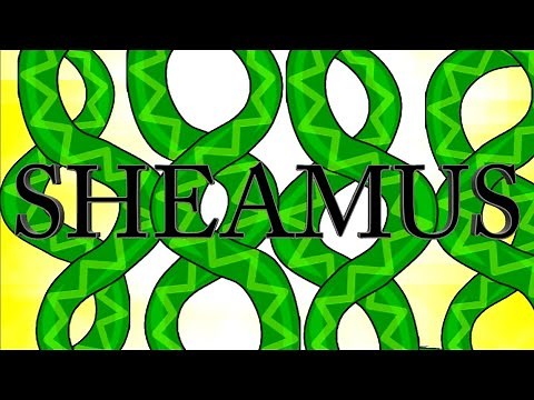 WWE Sheamus 2021 Official Entrance Theme Song