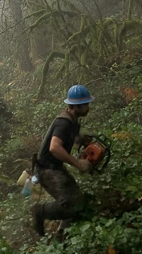 Phil is out here batting a thousand 😎 | Timber Falling Couple