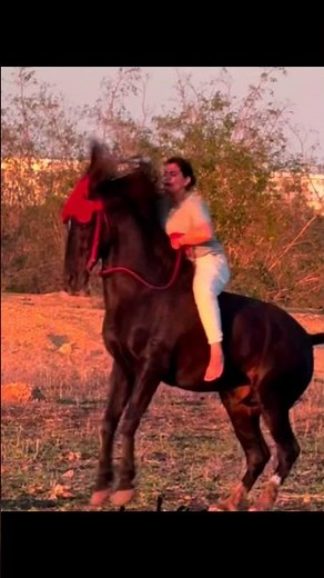 Bucking horse riding bareback by beautiful girl #viralvideo