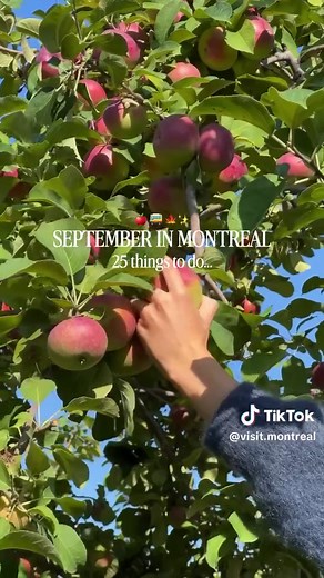WHAT TO DO IN MONTREAL THIS SEPTEMBER 🍂 • Sept 13 & 27: @piknicmtl @Parc Jean-Drapeau • Until Sept 19: @fest_martinique_gourmande @Various restaurants • Sept 16: CF Montréal vs Vancouver @Stade Saputo • Sept 19: CF Montréal vs Columbus @Stade Saputo • Sept 19: Canadiens vs Maple Leafs @Bell Centre • Sept 20–27: UCI Road World Championships @Montreal • Sept 21–27: Montreal Fashion Week @Various locations • Sept 23–27: @popmontreal @Various venues • Sept 26: CF Montréal vs Cincinnati @Stade Saput