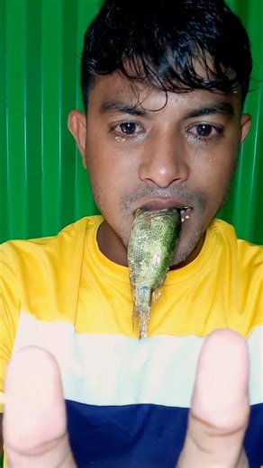 asmr raw fish eating 🐠🌶️ #viral #shorts #trending #fyp #fish #youtube #music #eating #food #crazy