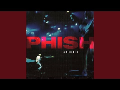 Bouncing Around the Room (Live - Clifford Ball, 1994)