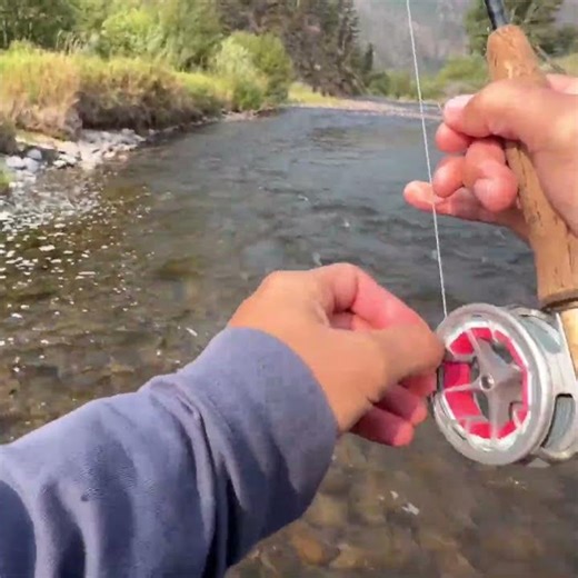 Caught a NICE fish right where the fly landed (fly fishing for trout)