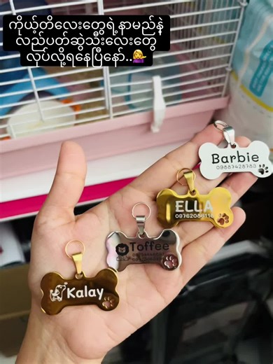 Quality Pet Nametag for Safety and Style