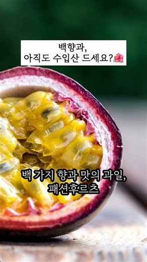 백향과, 아직도 수입산 드세요?🌺 제주산 패션후르츠 즐기는 법 #미미호호