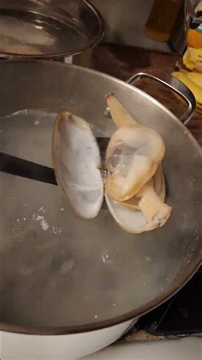 cleaning razor clams #razorclams #cleaningclams #clams #pnw #cooking