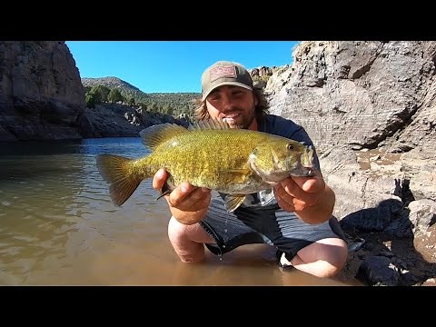 Catch, Clean, Cook Smallmouth BASS!!