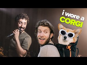 DOG ON MY BACK | Morgan Jay Autotune Crowdwork