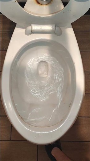 1990s American Standard Madera Toilet!