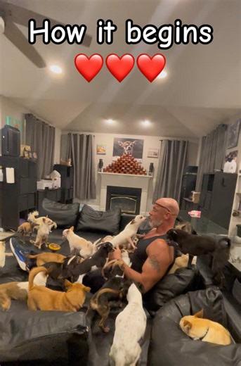 How Movie Nights Start: A Cozy Family Tradition