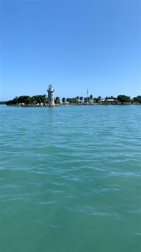 Miami Boat Tour & Activities- Link Provided To Book Today!