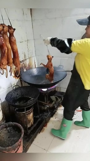 Amazingmon on TikTok