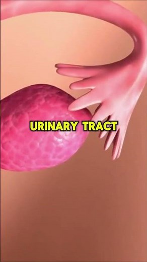 5 Common Signs of Urinary Tract Infection (UTI) | Supermely Health