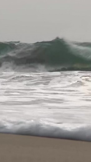 50K views · 820 reactions | #NextGenBharat | Young Indian girl and her father leads ocean cleanup efforts, inspires global awareness. Watch our special program, Next Gen Bharat, revealing a new picture of changing India with Richa Jain Kalra. #pmmodinews | DDNewsLive | Facebook