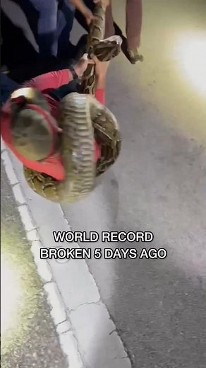 WORLD’S BIGGEST PYTHON