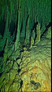 Stalactites and stalagmites in caverns grow incredibly slowly—about 1 inch every 100 years! These formations are created by water dripping through limestone, depositing minerals over time. Exploring these underwater caves feels like stepping back in time. #cenote #underwaterphotographer #underwater #underwaterworld #underwaterlife #underwaterphoto #méxico #mexicotravel #buceo #diving #dive #diver #divermag #scubadiving #scuba #scubadiver #scubadive #scubadiverlife #instadaily #scubadivingphoto #