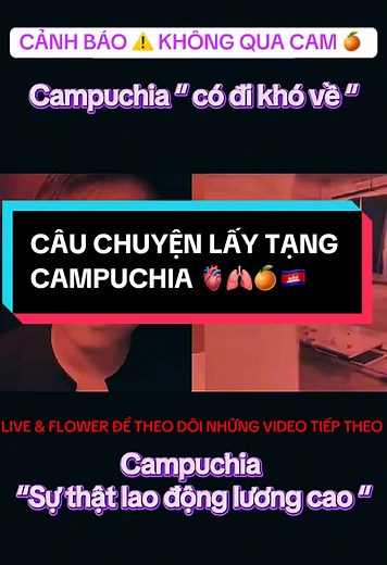 Câu Chuyện Lấy Tạng Campuchia và Hành Trình Bí Ẩn
