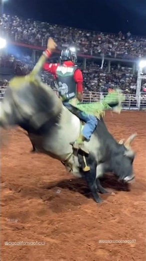 92,00 🔥 Leandro Machado vs Xodó do Patrão (Cia Califórnia) | Rodeio de Colorado 2026