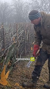 7.3K views · 120 reactions | Hedge superheroes! 隸‍♂️ 'Hedgelaying'...