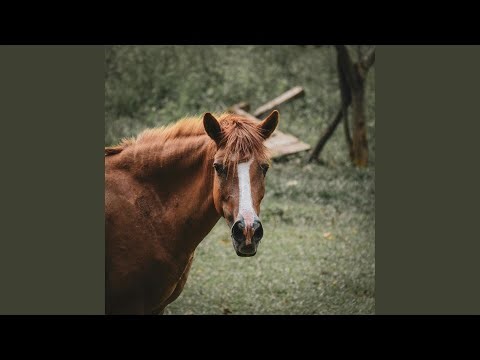 Ruby Pooped Her Pants (Ruby Poop)