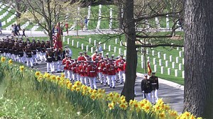 Spring is in the air at Arlington National Cemetery. | Arlington National Cemetery