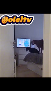 62K views · 2.6K reactions | Prende el tv . #humor #cartagena #barranquilla | Cleitv | Facebook