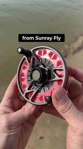 Sunway Fly Fish Pro Line: Floating Fly Line Review #shorts