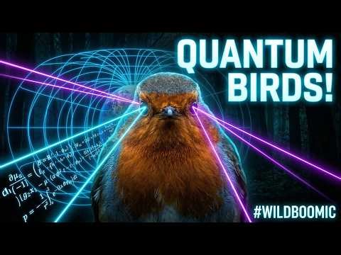 Animals Cracked Quantum Computing Millions of Years Ago