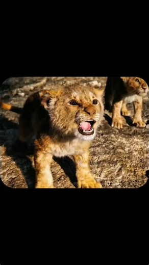 🦁Mufasa: The Lion King (2024)The legendary story begins. Witness the rise of Mufasa, #entertainemnt