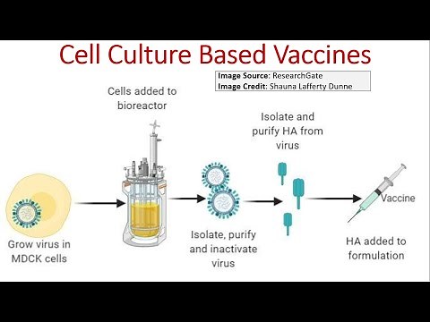 What is Cell Culture Based Vaccine?