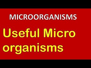 Chapter 2: Microorganisms : Friend and Foe- 3 Video Lecture - Class 8