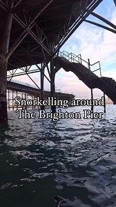 A mid November snorkel around the Brighton Palace pier with @giosdiving | Imjustbrighton