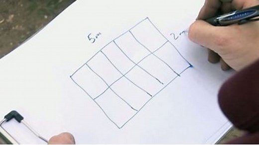 How do you work out the area of shapes?