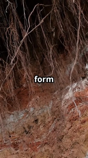 Patriot Resource Enterprises, LLC on Instagram: "🪙 Gold Contact Zones Explained 🪙 Gold contact zones form where two different rock types meet—often intrusive rock against sedimentary or metamorphic host rock. These boundaries create natural weaknesses, allowing fractures to form and gold-bearing fluids to move, react, and deposit metal. Many productive lode and placer systems trace back to these contacts, especially where heat, pressure, and chemistry change abruptly. If you’re mapping or pros